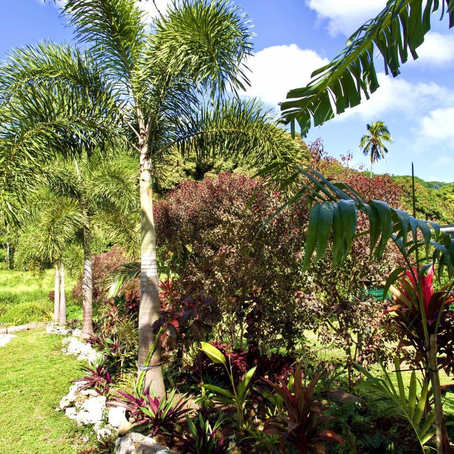 'Are Pepe One Bedroom Container Style Unit Rarotonga Esterno foto